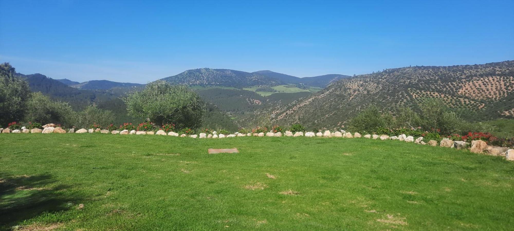 알고도날레스 Hacienda Molino Nuevo 빌라 외부 사진